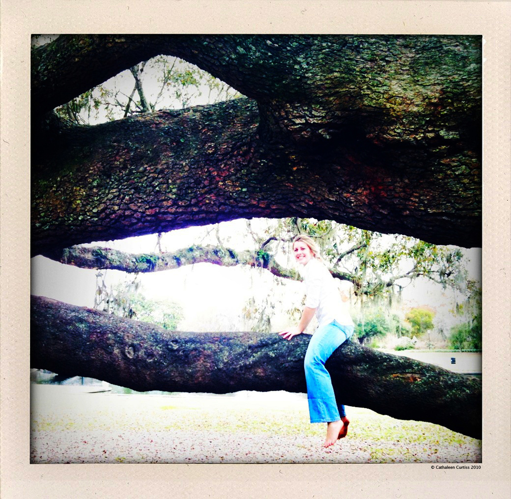 A Live Oak in Charleston, SC iPhone3 with Hipstamatic app
