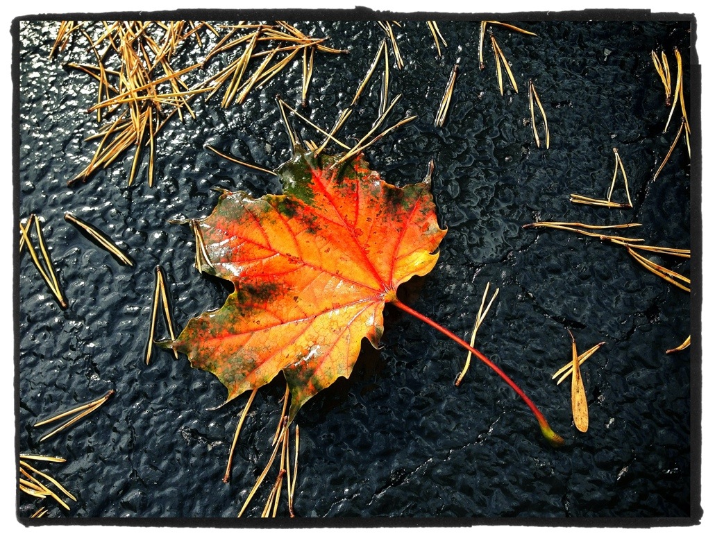 20131008-205510.jpg